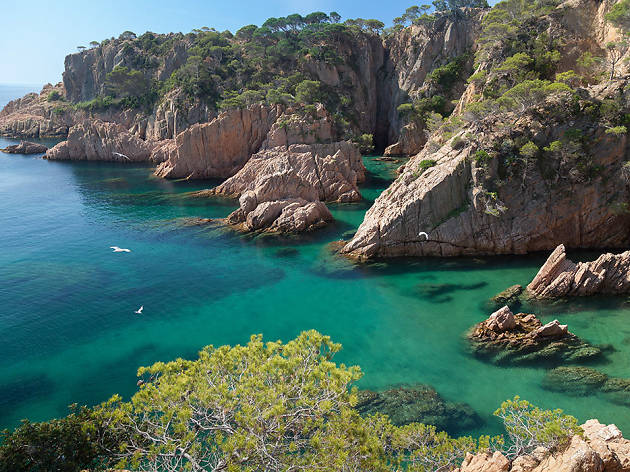 Cala d'es Cranc Cala d'es Cranc