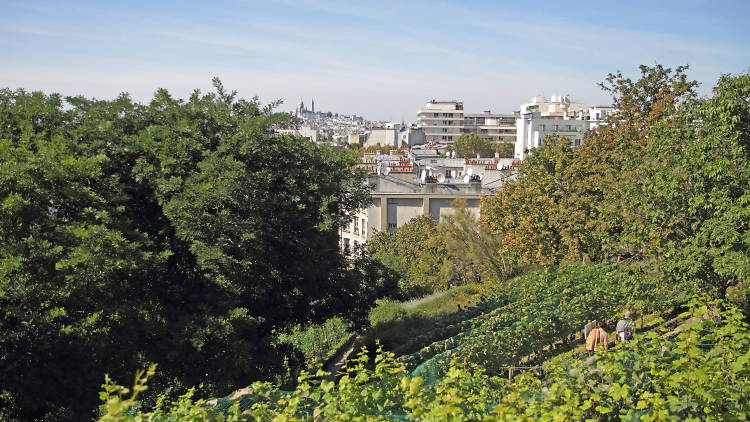 Fête des Vendanges de Montmartre