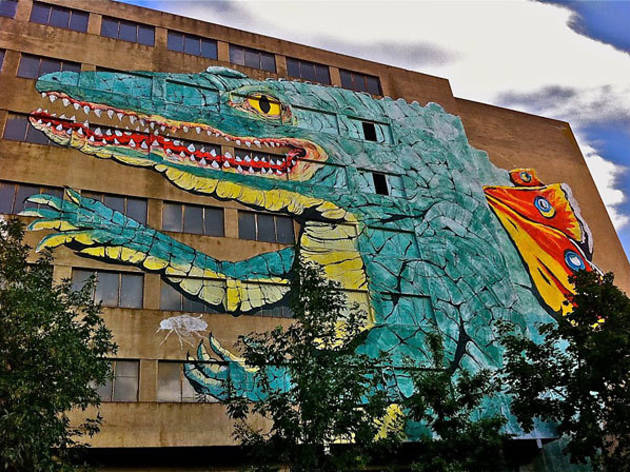 Graffiti Cocollona Graffiti Cocollona