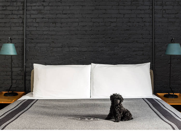 13 pet-friendly hotels in America