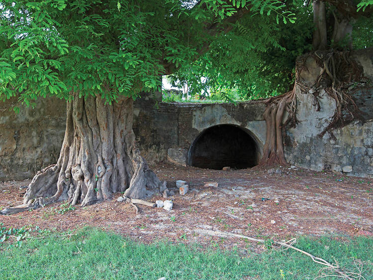 Stop by the ancient Pooneryn Fort on the way to Jaffna