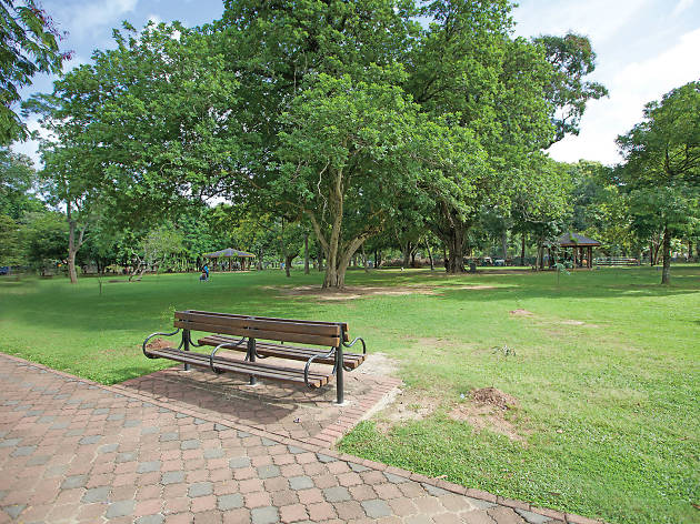 Go on a picnic Go on a picnic