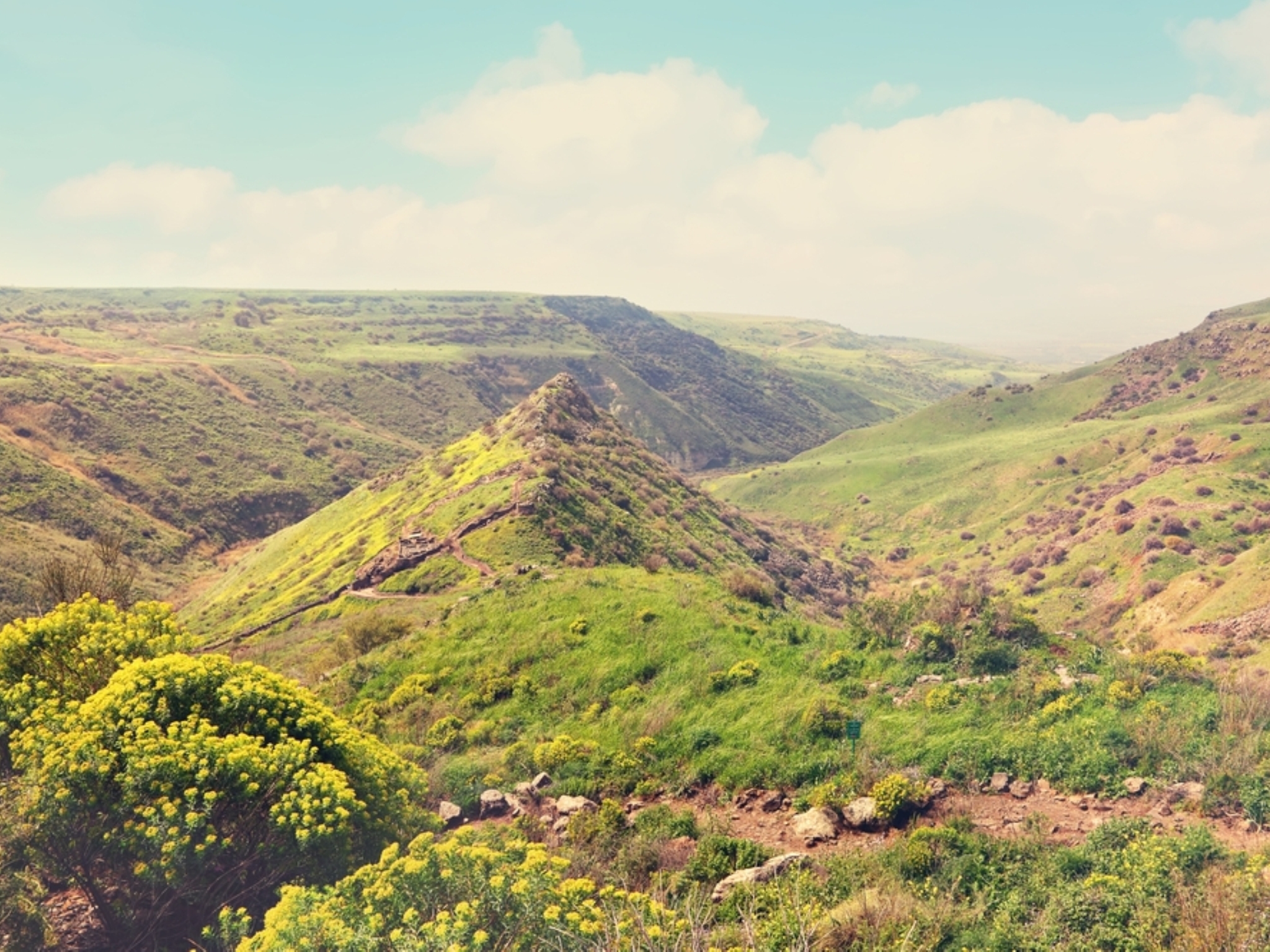 Beautifully green national parks in Israel from north to south