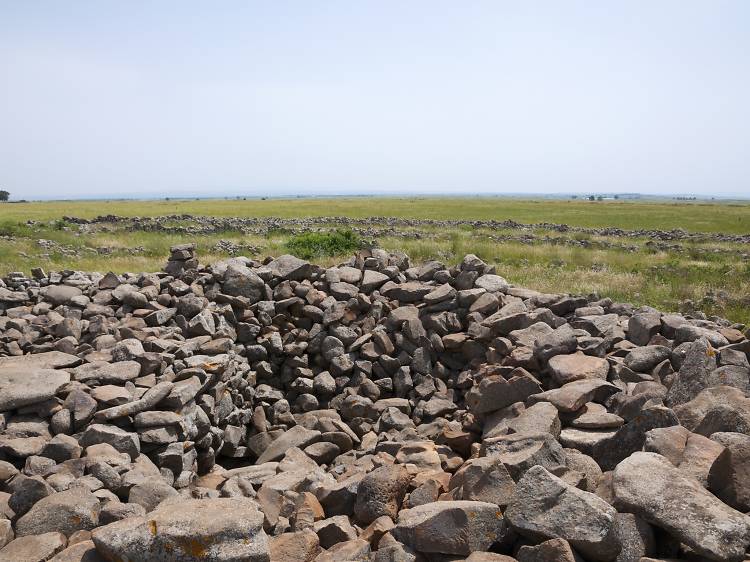 Israel's own Stonehenge?