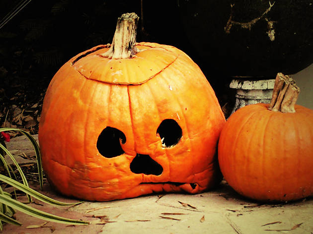 25 reasons why fall in NYC is the worst 25 reasons why fall in NYC is the worst