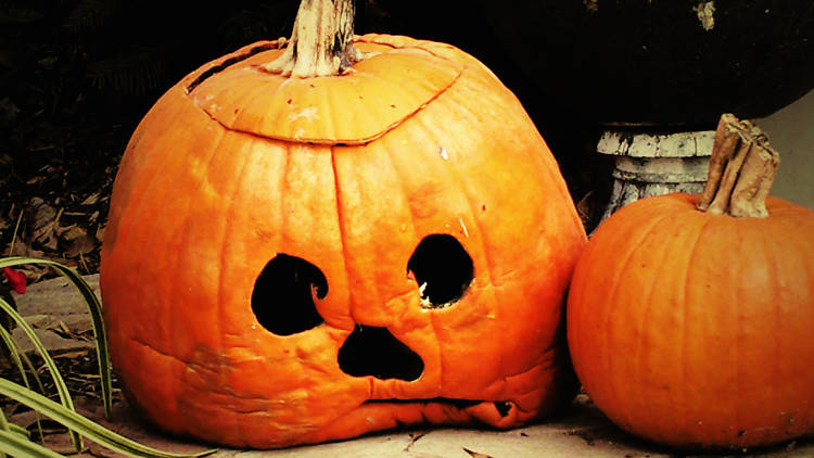 A wilting jack-o‘-lantern next to a small pumpkin.