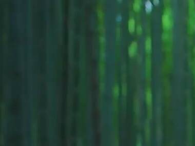 Kimonos and tea ceremonies – explore traditional Kyoto Kimonos and tea ceremonies – explore traditional Kyoto