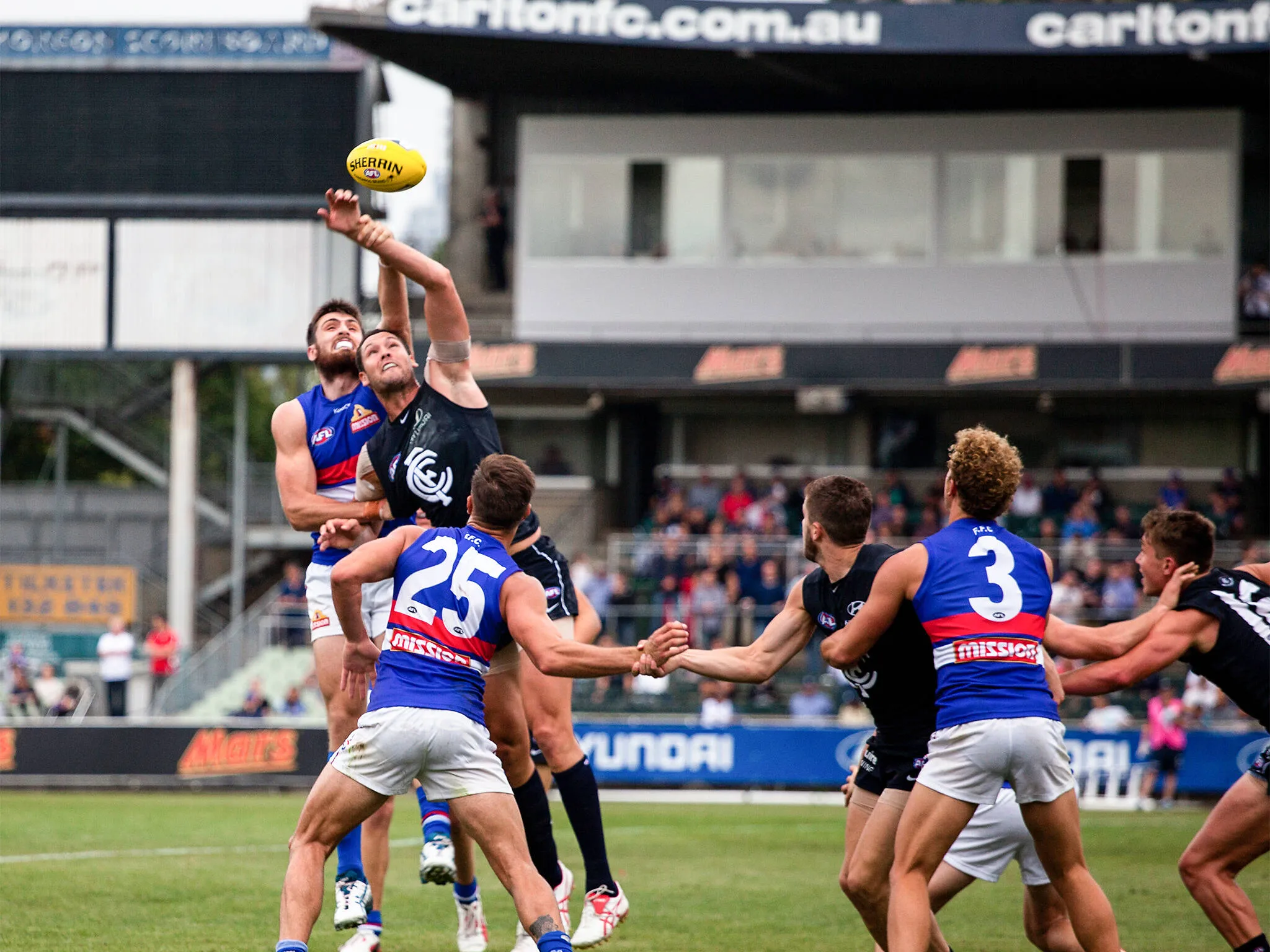 The Western Bulldogs