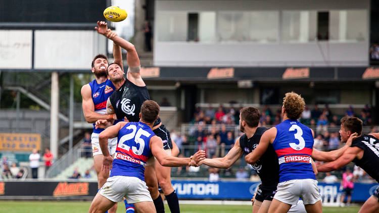 Western Bulldogs vs Carlton AFL