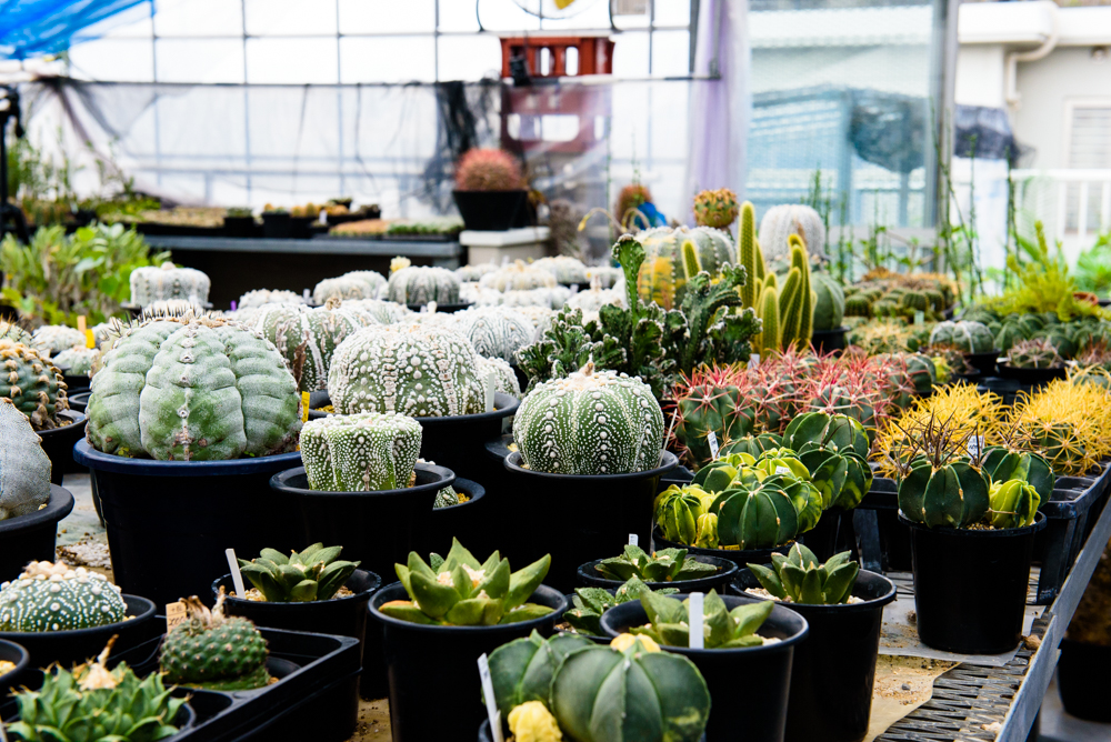 鶴仙閣 駒込本店