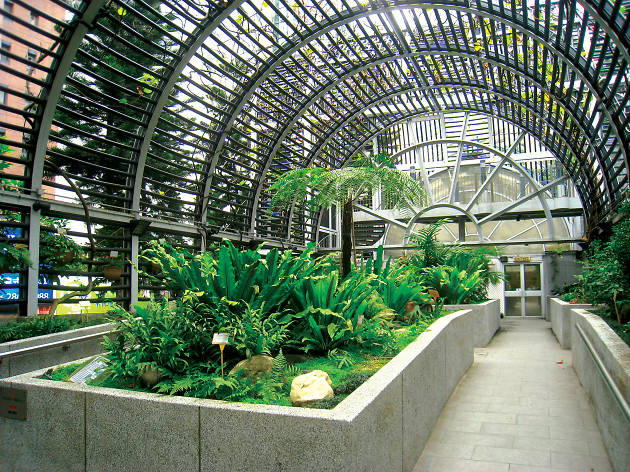 Hong Kong Zoological and Botanical | Attractions in Central, Hong Kong