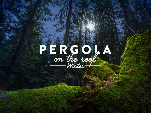 Pergola on the Roof is back for winter with a new Nordic forest vibe Pergola on the Roof is back for winter with a new Nordic forest vibe