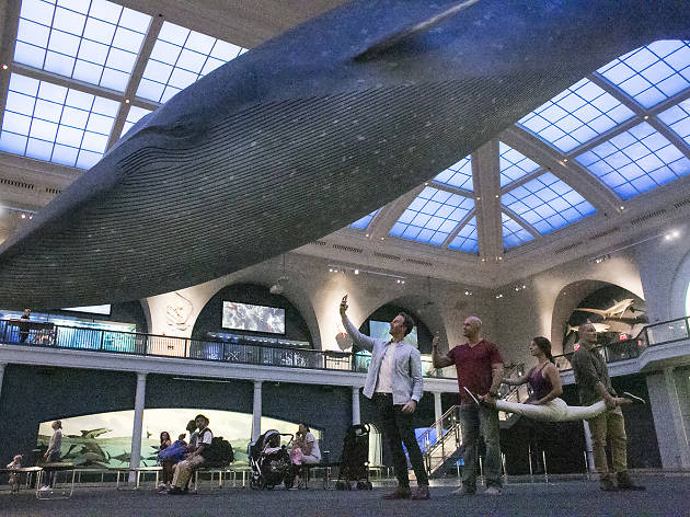 Excerpts from Moby-Dick Under the Whale American Museum of Natural History