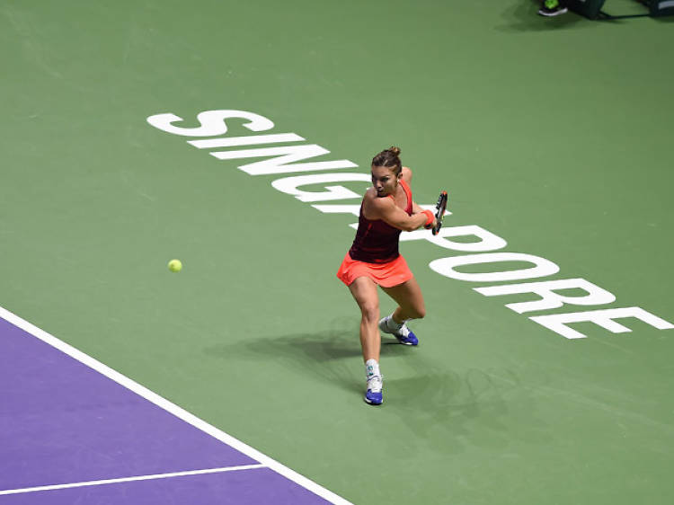 WTA Finals Singapore: Eight things you need to know