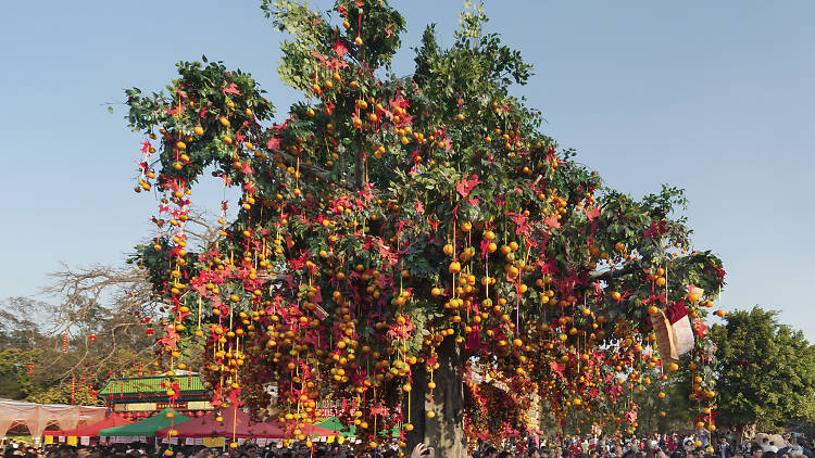 Lam Tsuen wishing tree