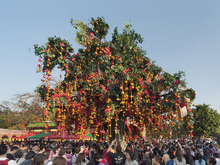 Lam Tsuen Well-Wishing Festival