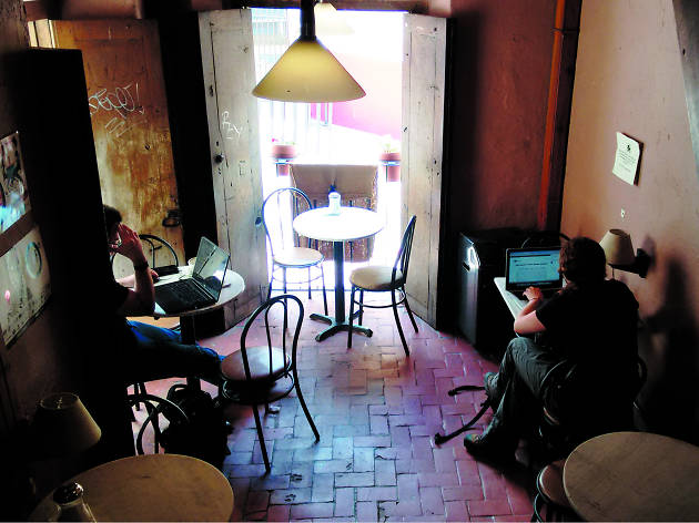 Café tal en Guanajuato Café tal en Guanajuato