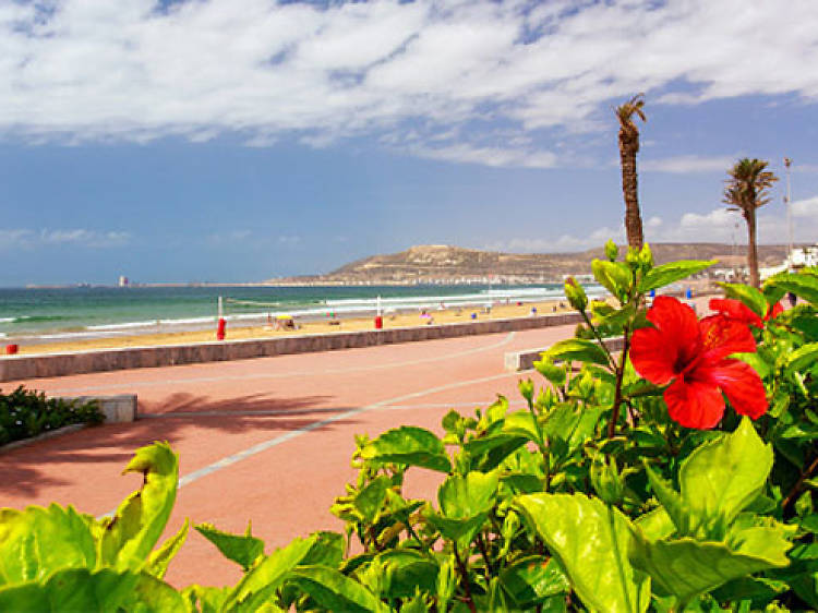 The 3 best things to do in Agadir