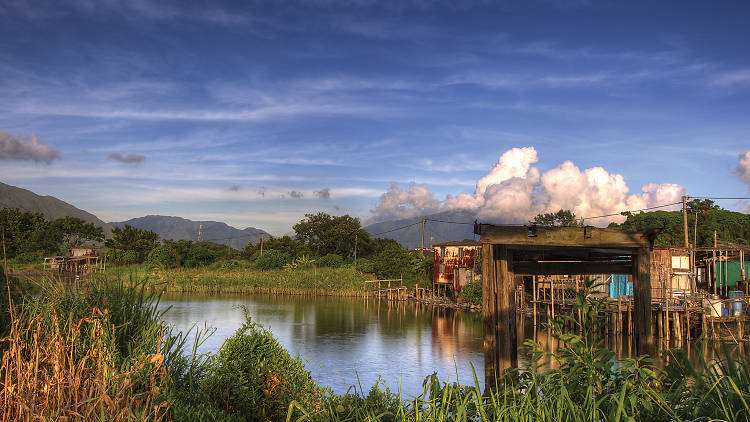 Nam Sang Wai wetlands