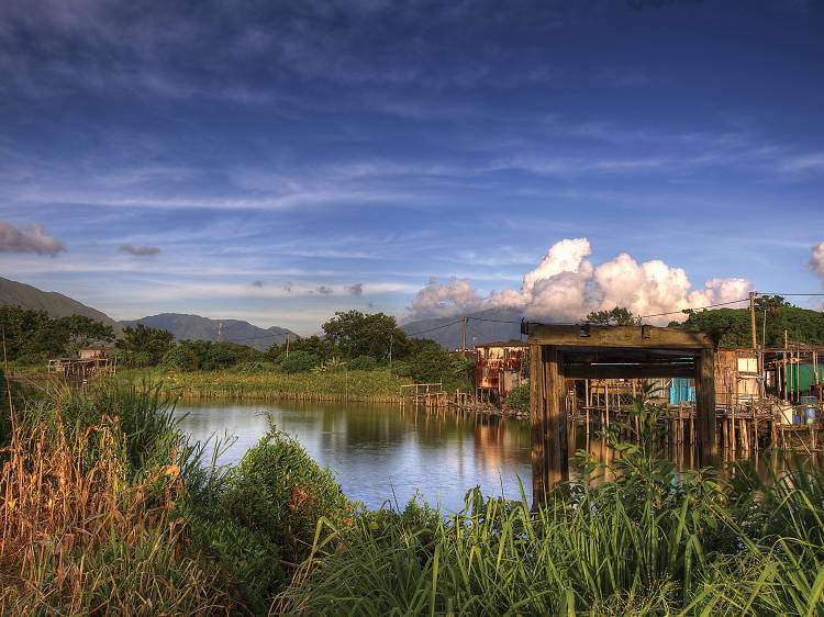 Nam Sang Wai Wetlands