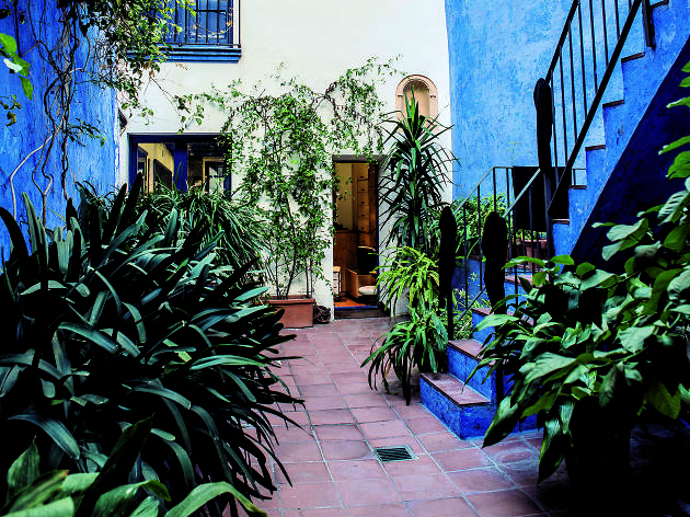 Pati blau Pati blau