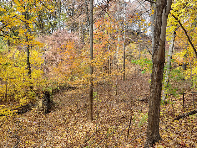 Van Cortlandt Park