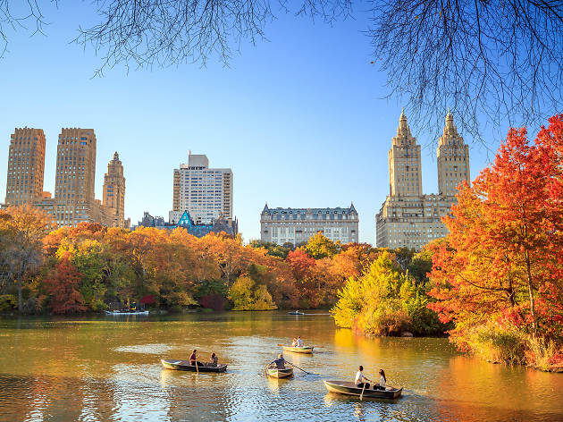 See Fall Foliage in New York for a Picturesque Autumn in 2020