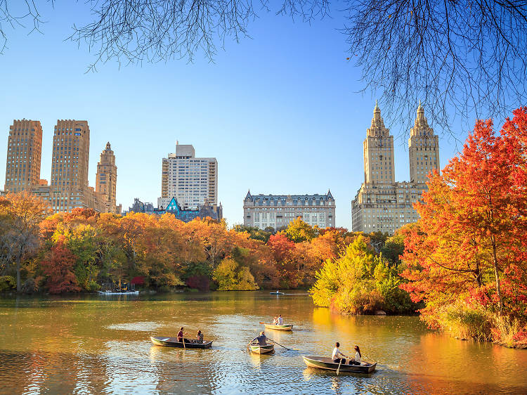 Where to see fall foliage in NYC