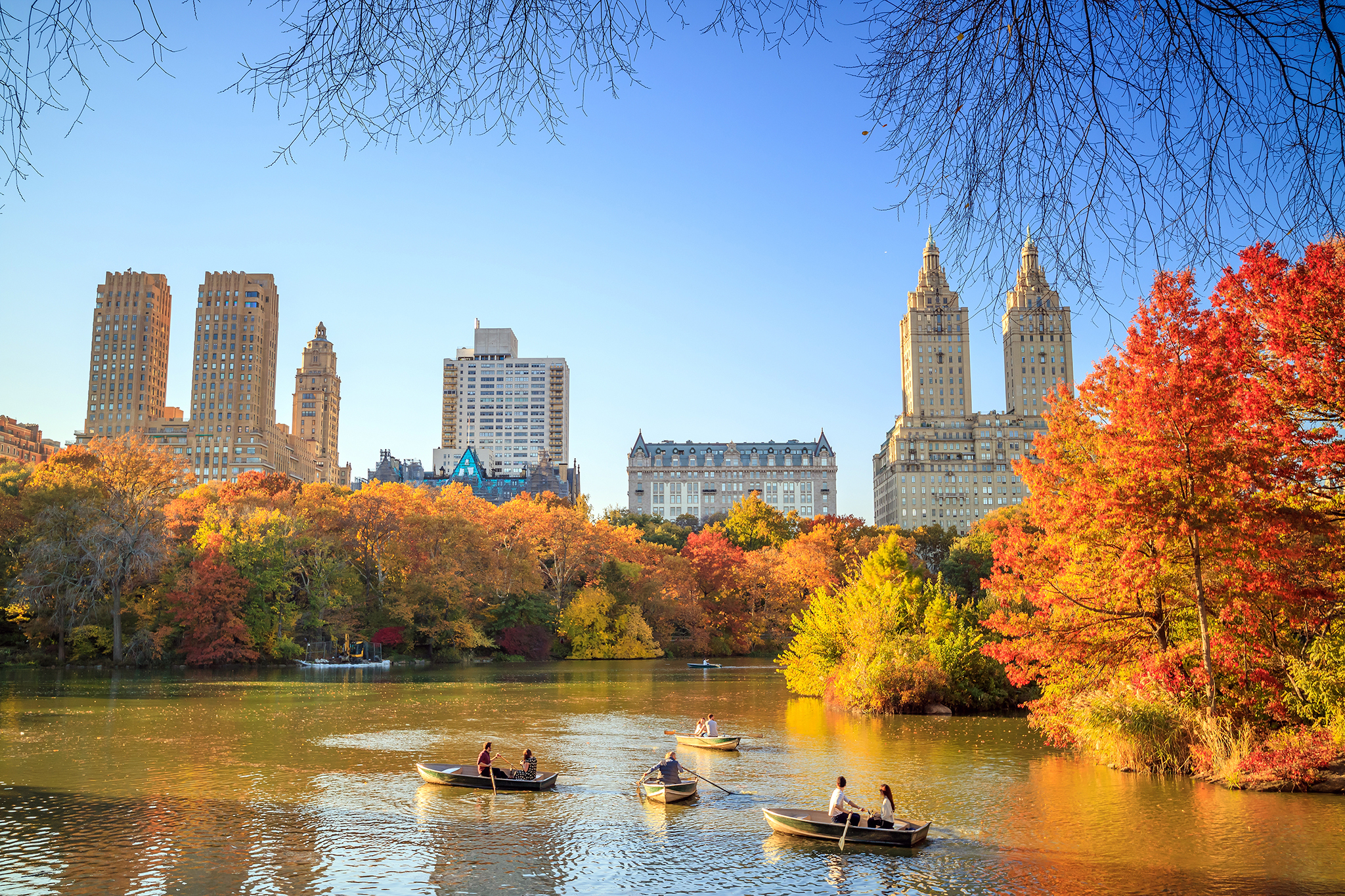 fall foliage tour nyc