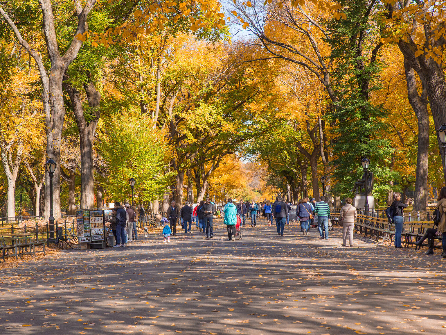 100 Things to Do in NYC for Under $100