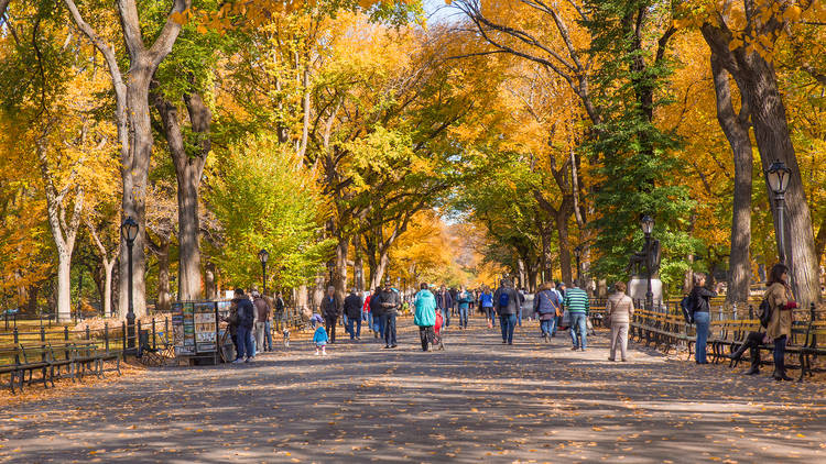 The six most romantic fall walks in NYC