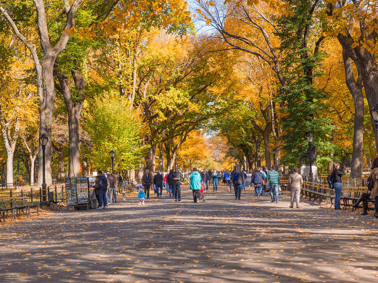 The six most romantic fall walks in NYC