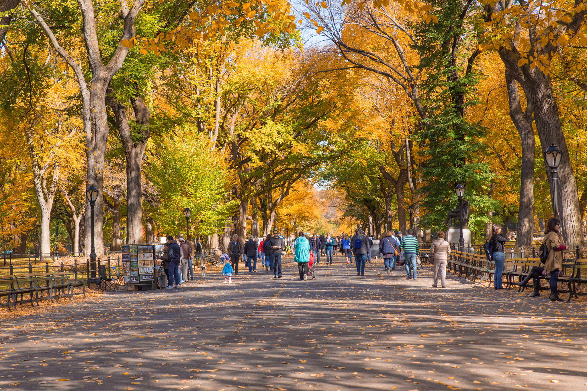 A Stroll Through Central Park in NYC