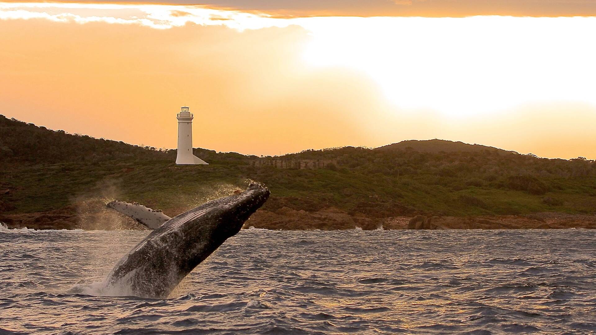 A weekend in Port Stephens