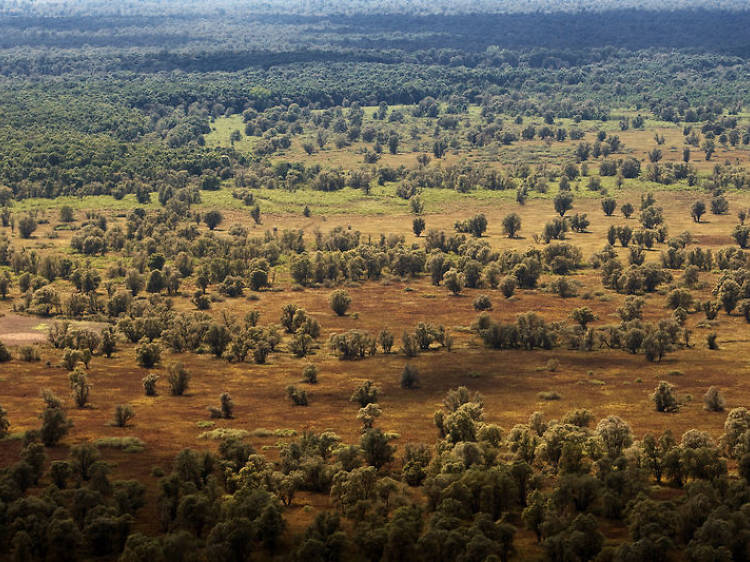 Lonjsko Polje