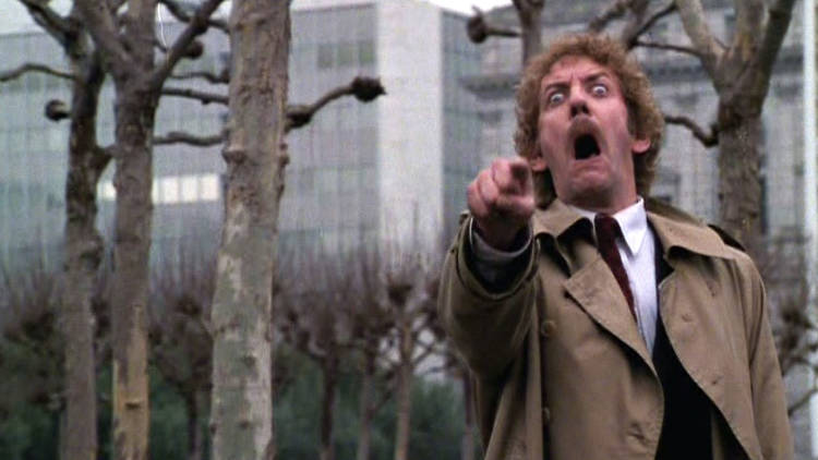 Invasion of the Body Snatchers (1978)
