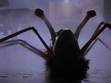 The Thing (1982)