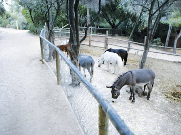 Poni Club Poni Club