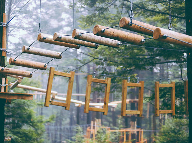 Ramblewild; Berkshires Ramblewild; Berkshires
