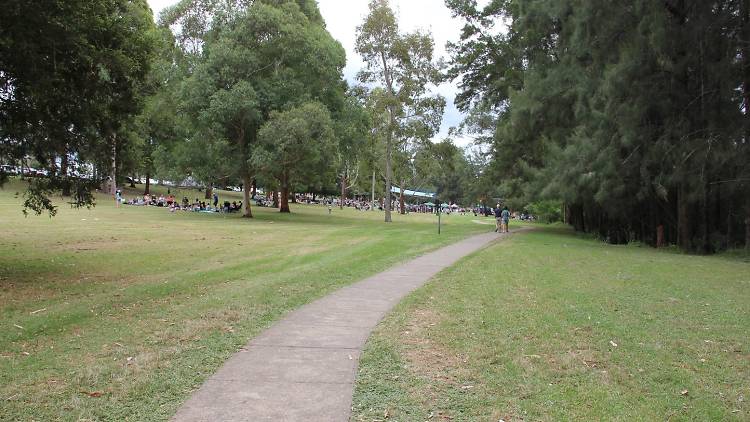 Walking path at Tench Reserve