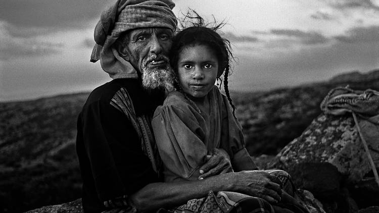 Socotra. La isla de los genios