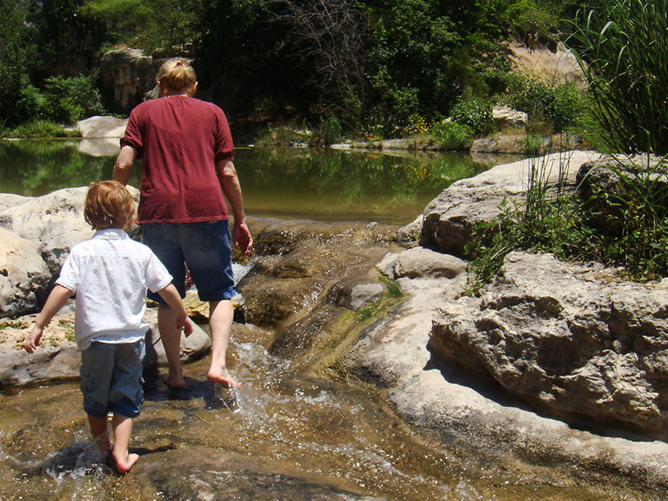 5 Petting Zoos, Animal Farms and Habitats in Austin