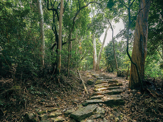 Hiking trails for families in Hong Kong
