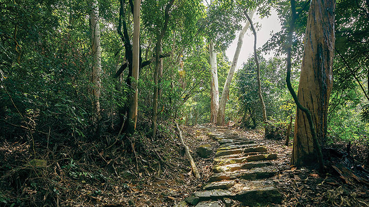 Hiking trails for families in Hong Kong