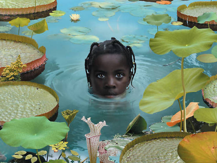 Ruud van Empel