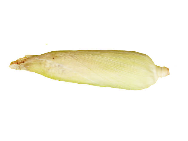 Maçaroca de milho Maçaroca de milho