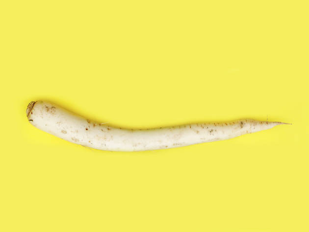 Daikon ou rábano japonês Daikon ou rábano japonês
