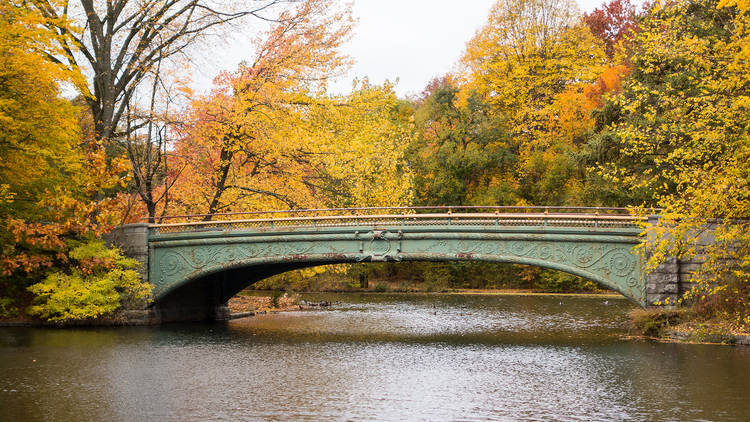 Central Park, fall