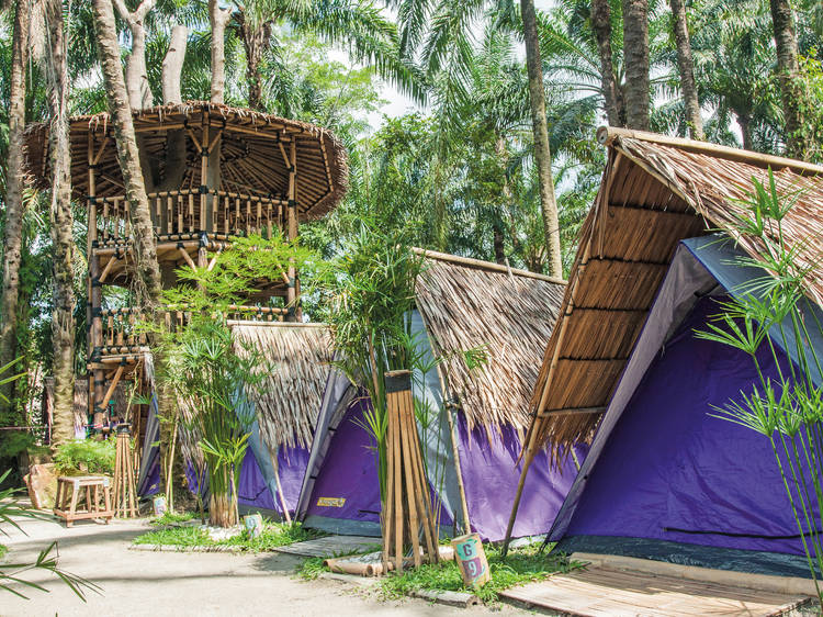 Best Glamping Sites In Malaysia