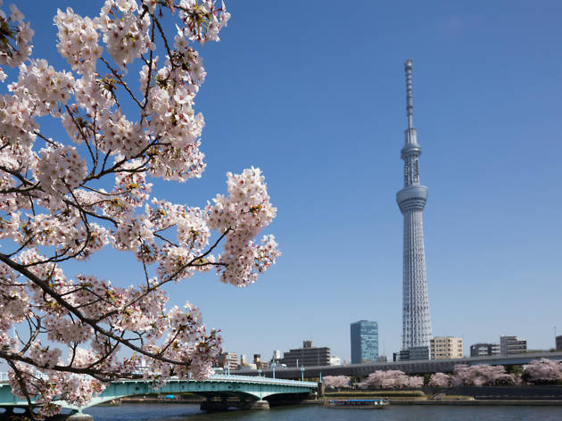 tokyo skytree tokyo skytree